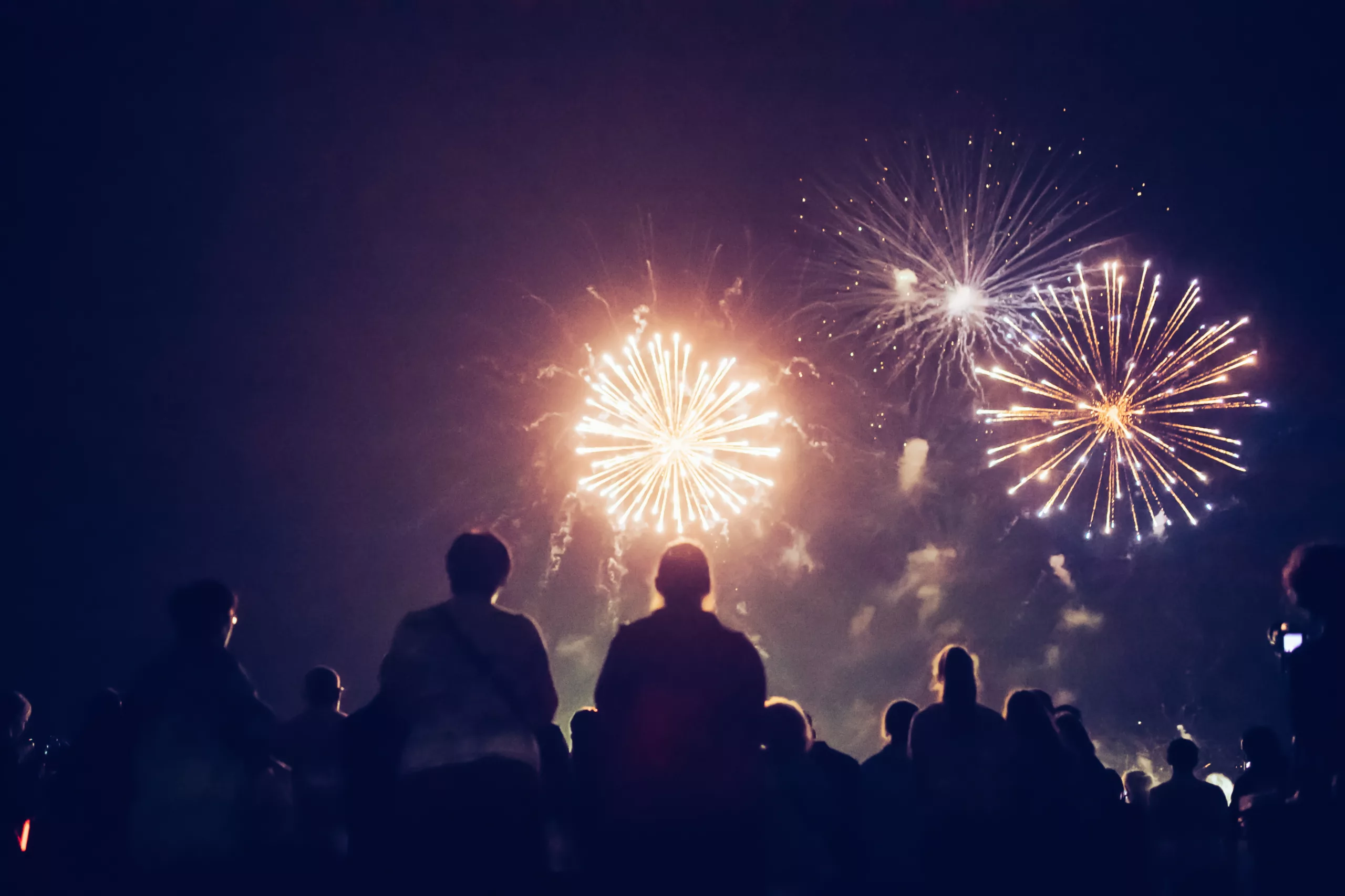 Group of people watching fireworks