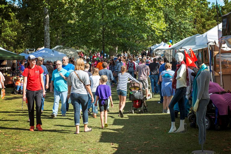 Crowd of people at festival